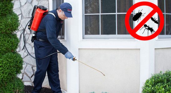 Konyaaltı Akrep İlaçlama böcek ilaçlama ve haşere kontrolü — ilaclama-tr.com